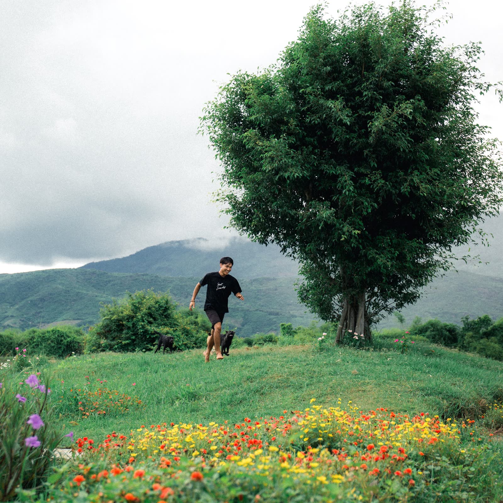 Outdoor topánky Trailrunner